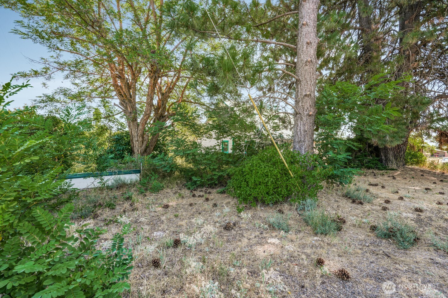 3220 Bickleton Highway Property Photo 13