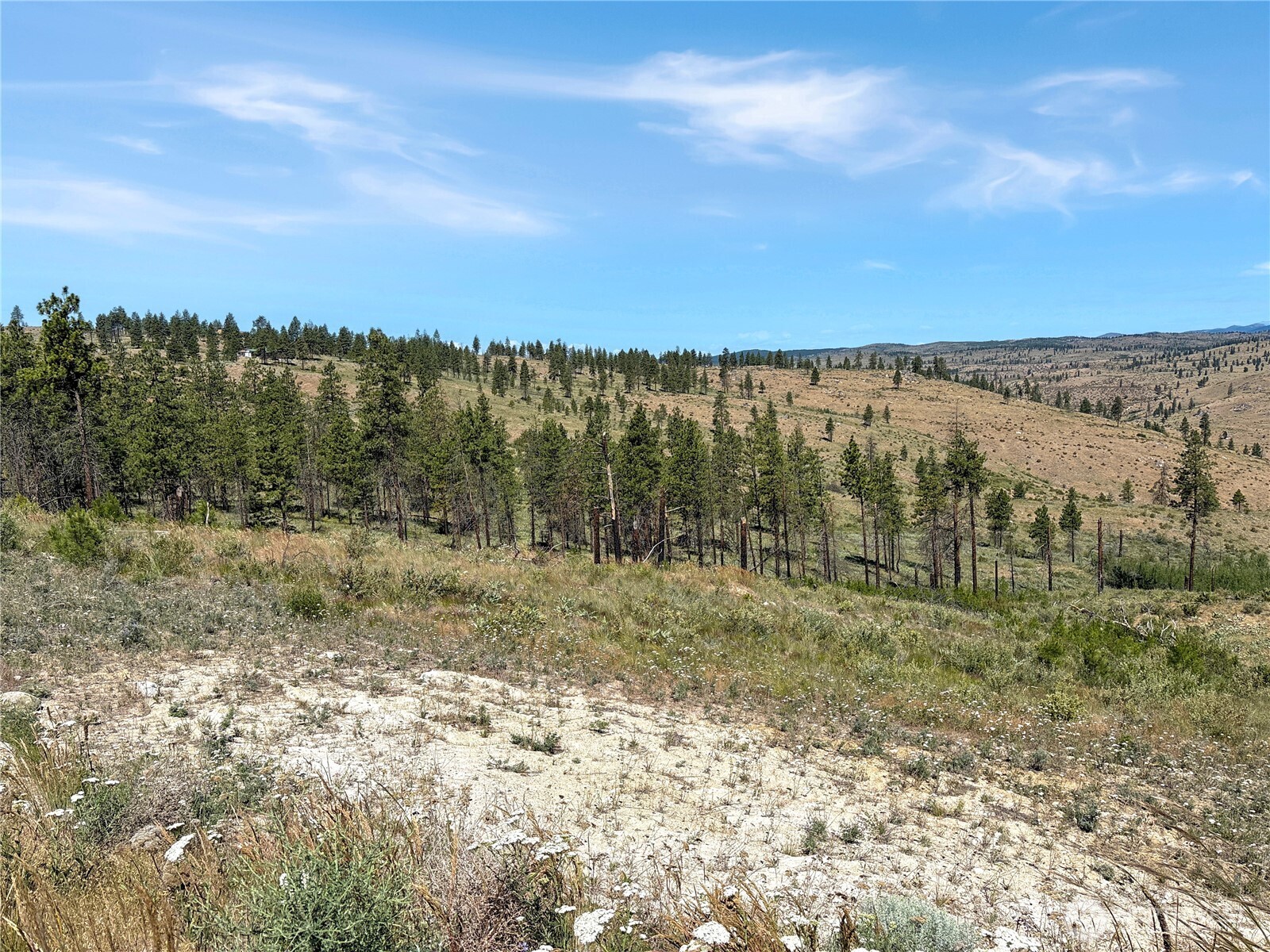 53 E Mountain Point Property Photo 11