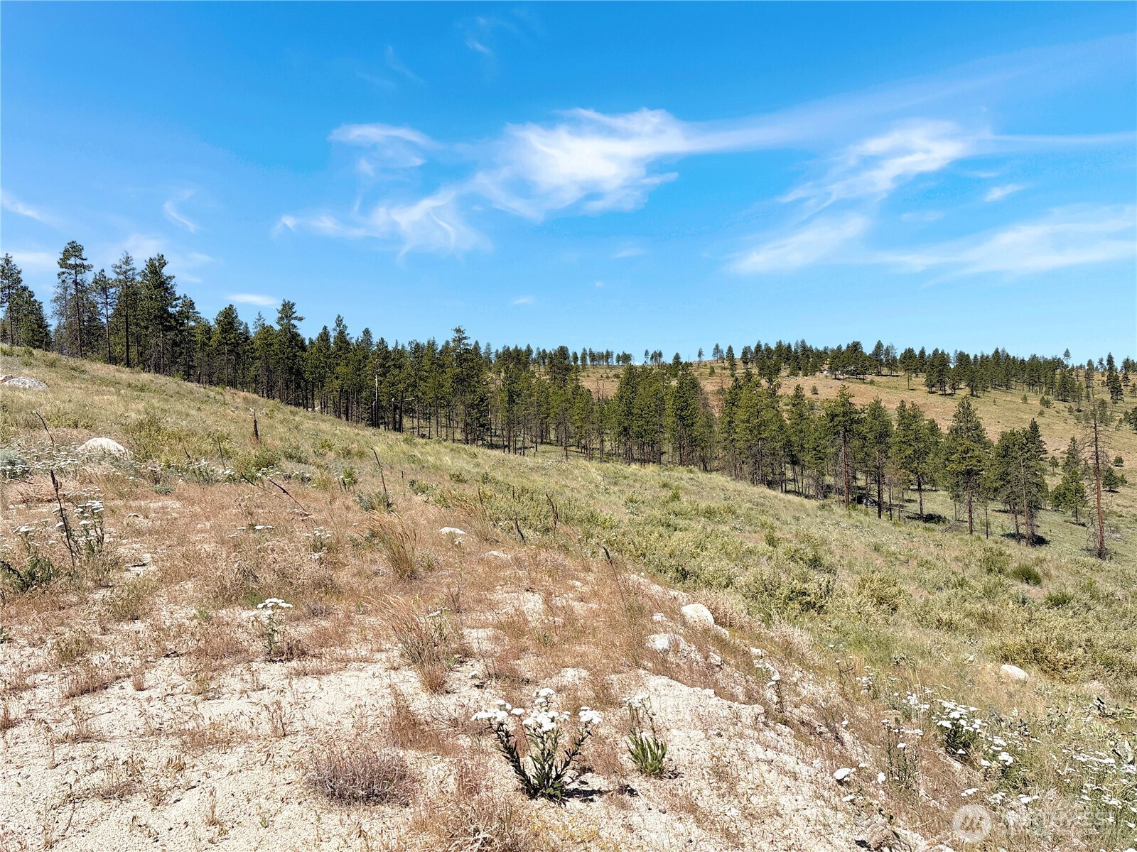 53 E Mountain Point Property Photo 17