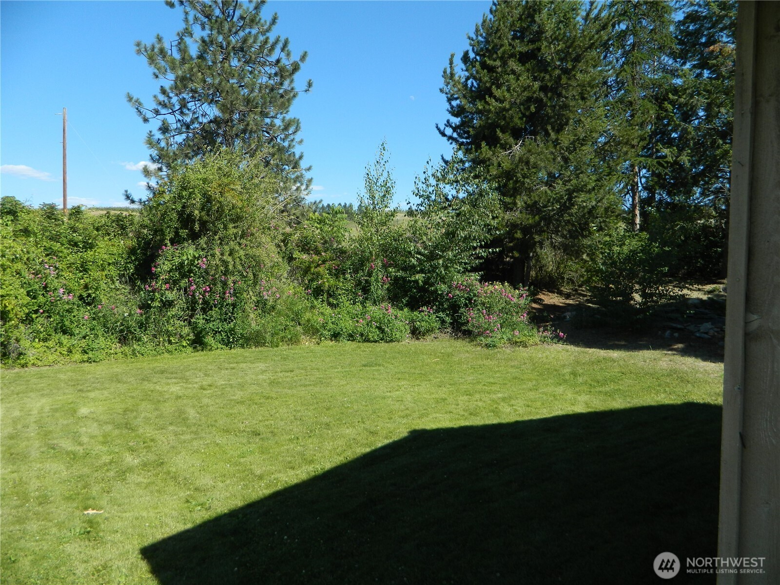 16 Orchard Loop Property Photo 4
