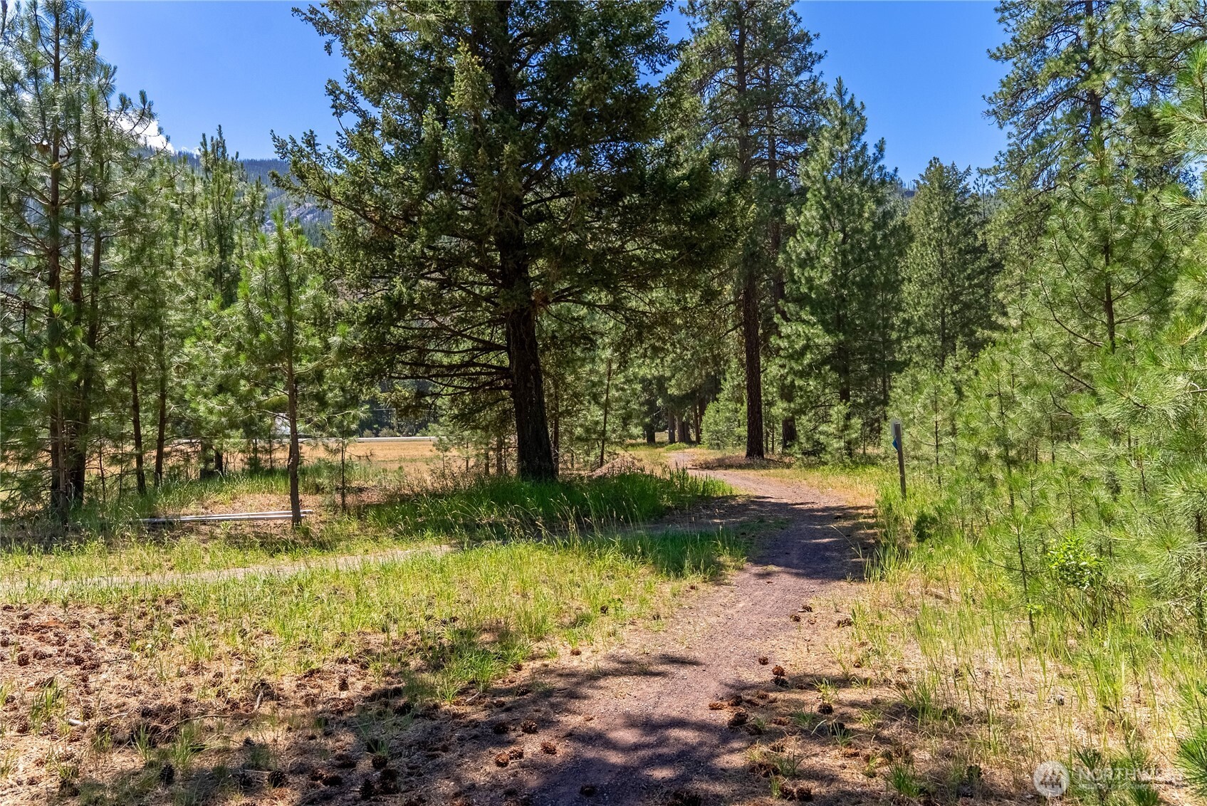 65 Mazama Pines Lane Property Photo 24