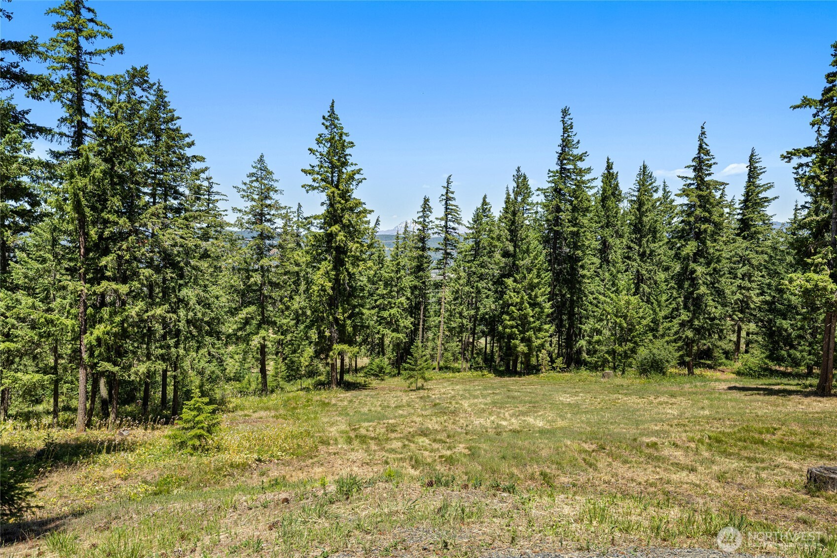 571 Colfax Road Property Photo 37