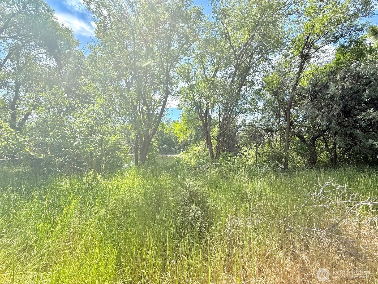 2050 James Avenue Property Photo 31