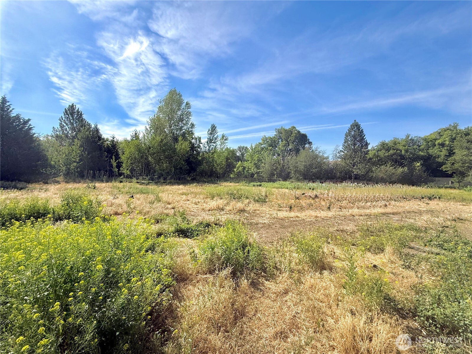 2050 James Avenue Property Photo 37