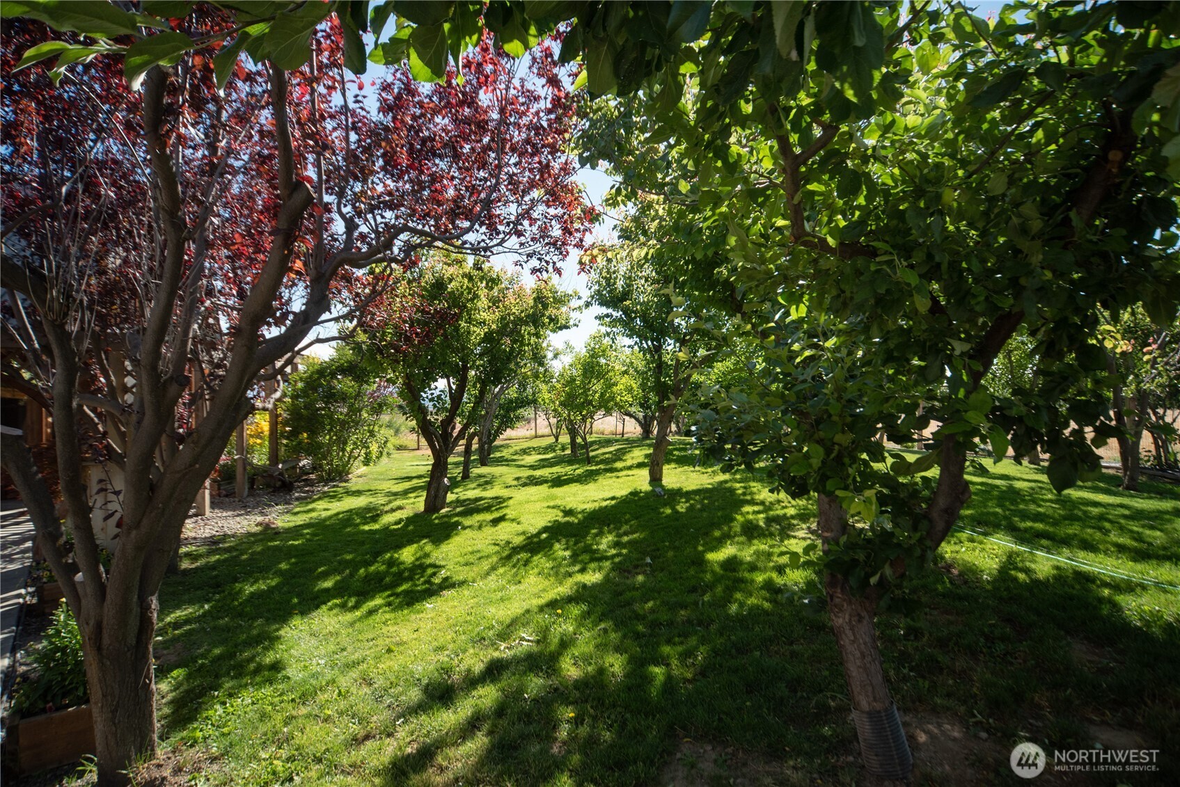 4405 Cove Road Property Photo 32