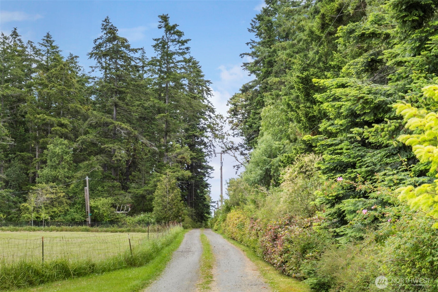193 Plute Road Property Photo 20