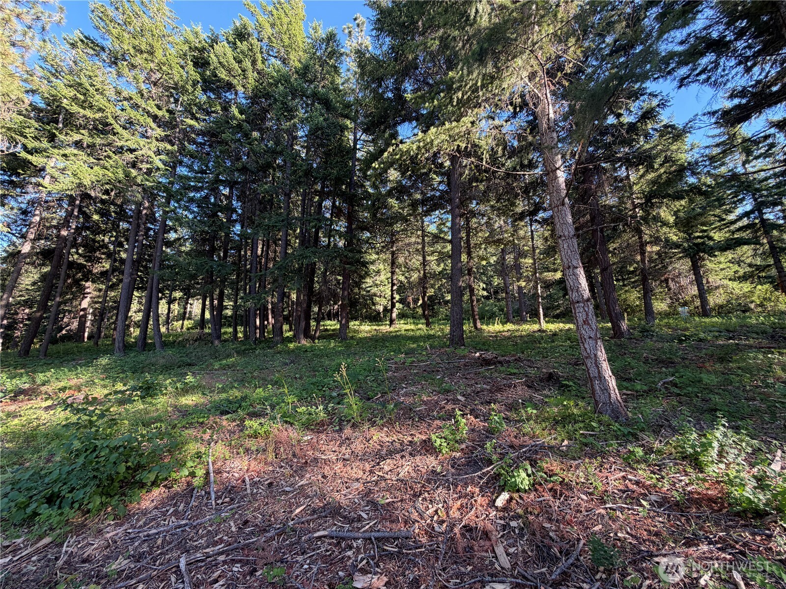 1330 Black Hawk Drive Property Photo 21