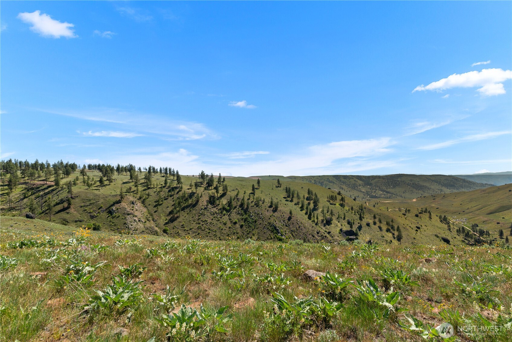 12 Columbia River Bluffs Road Property Photo 33