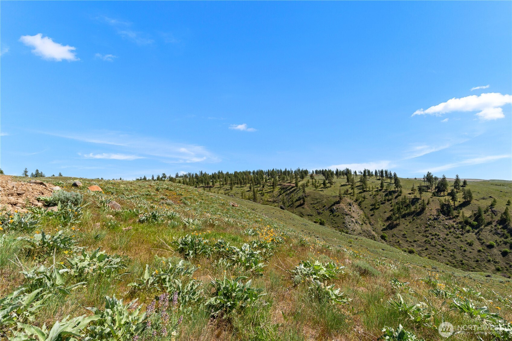 12 Columbia River Bluffs Road Property Photo 34