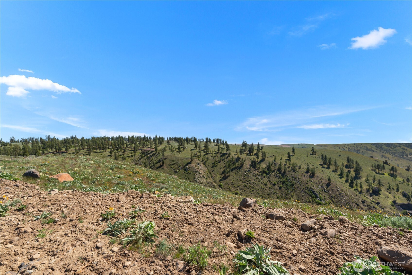 12 Columbia River Bluffs Road Property Photo 35