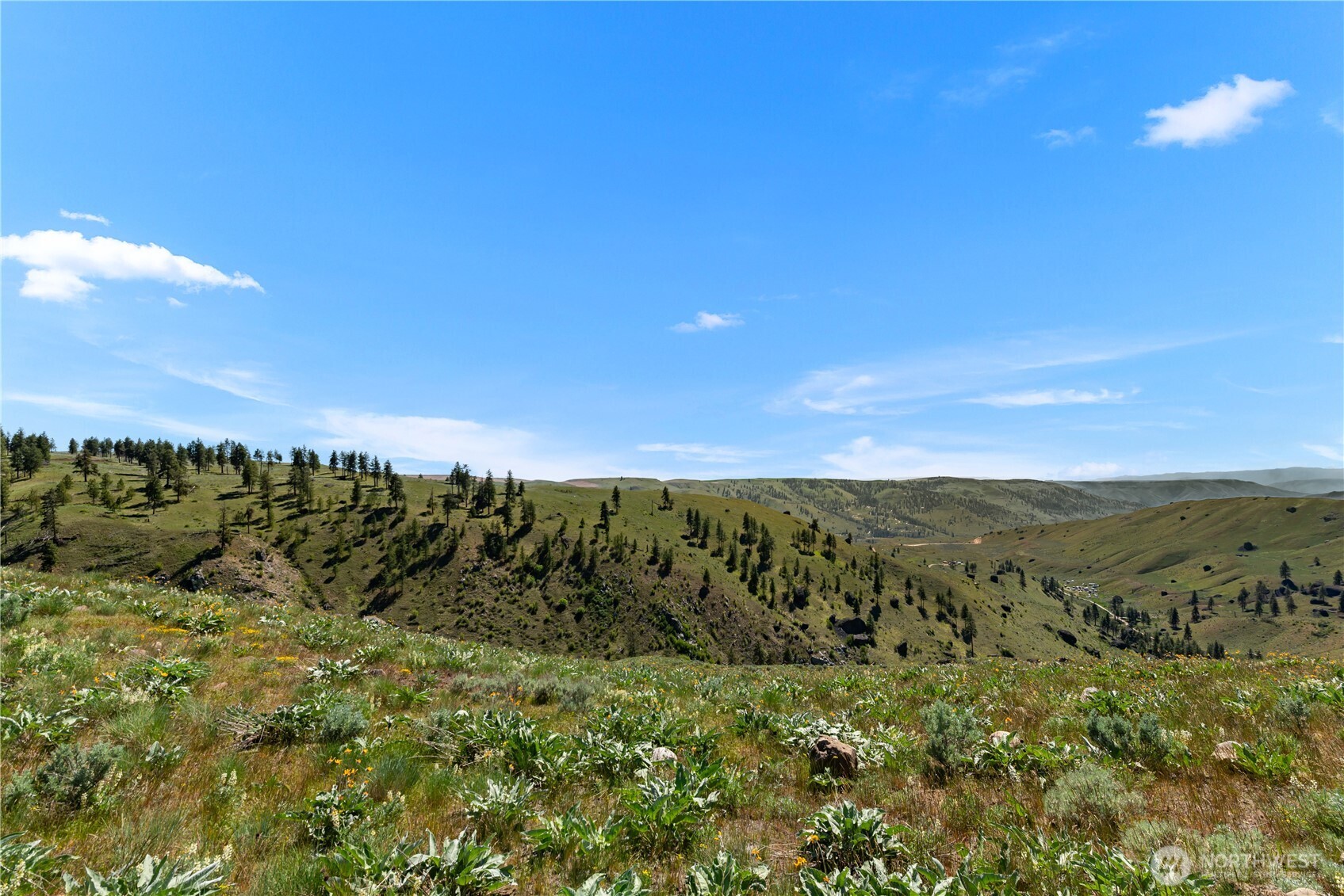 12 Columbia River Bluffs Road Property Photo 38