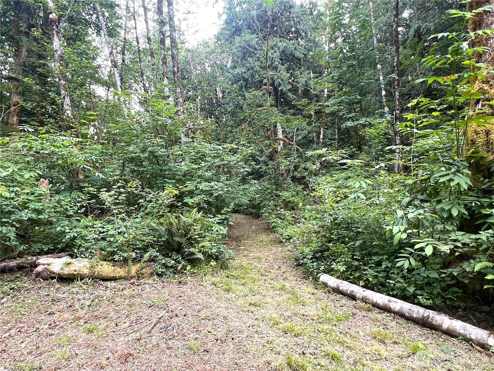 31121 403rd Drive Property Photo 4