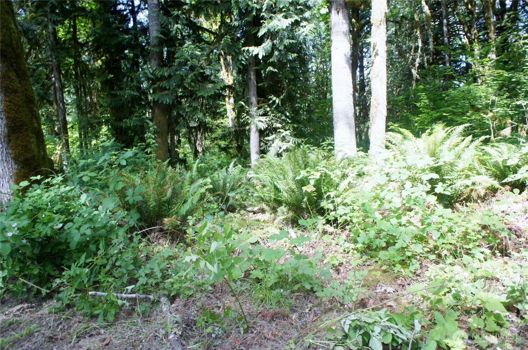 31121 403rd Drive Property Photo 16