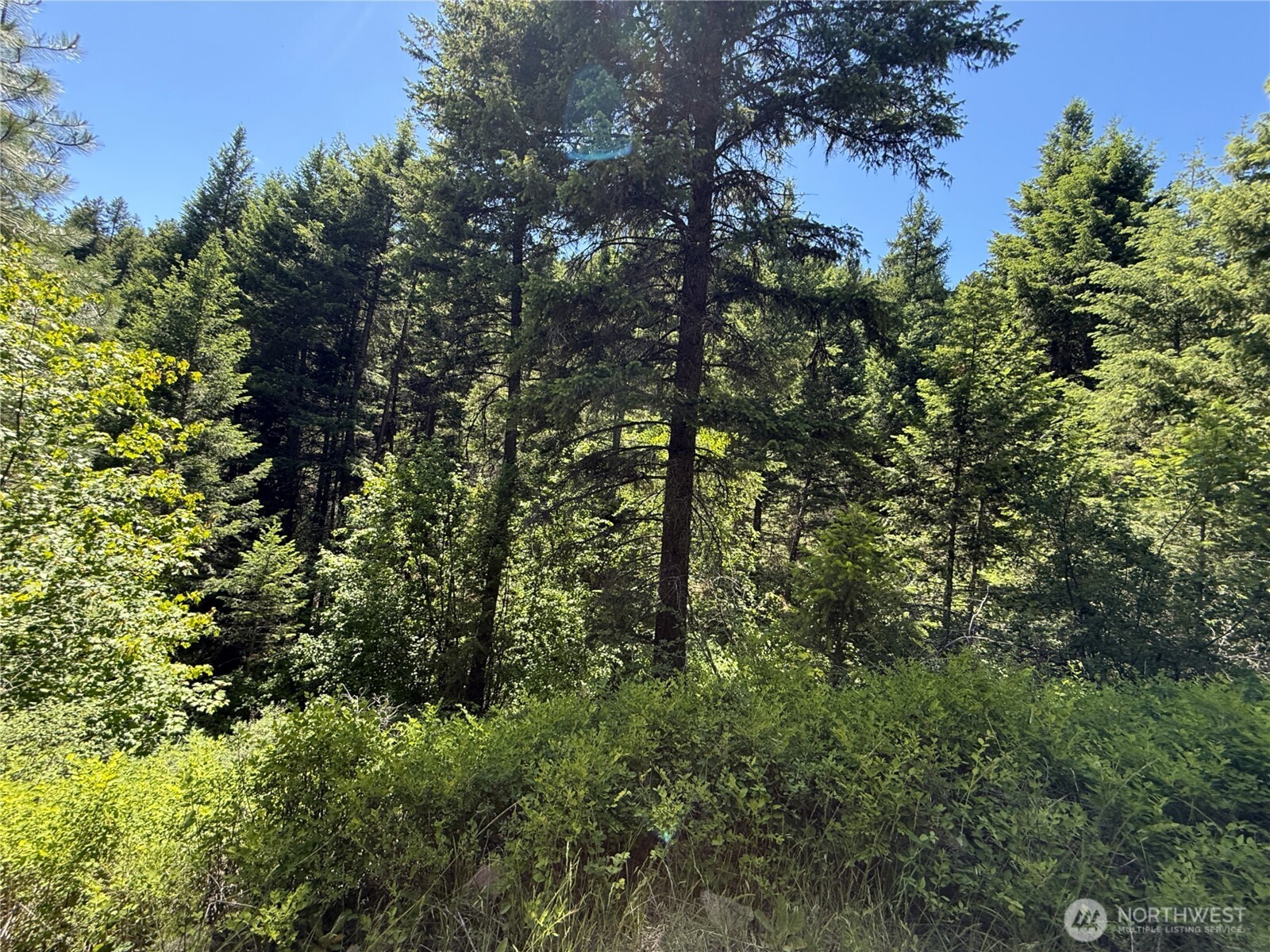 0 Tbd Toroda Creek Road Property Photo 1