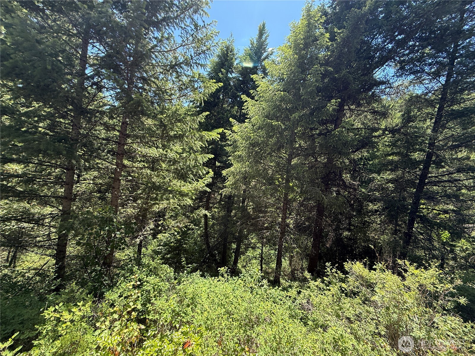 0 Tbd Toroda Creek Road Property Photo 2