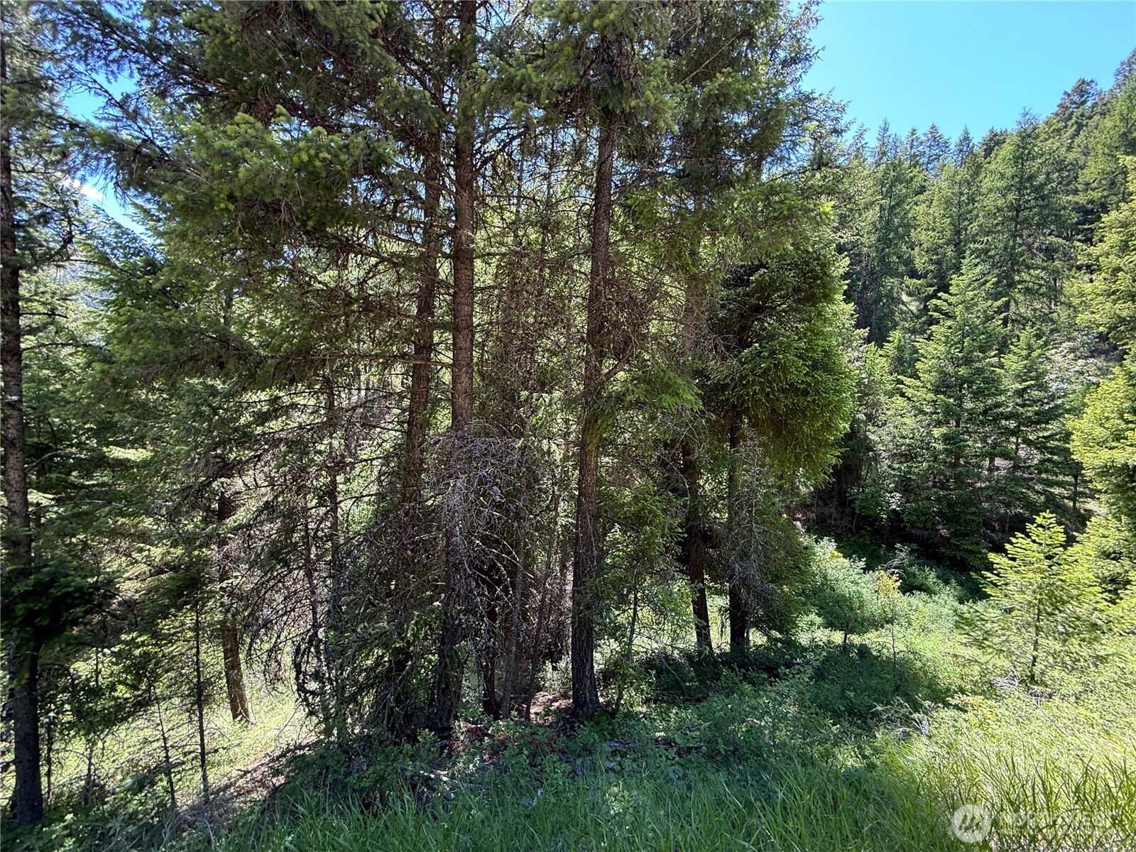 0 Tbd Toroda Creek Road Property Photo 3
