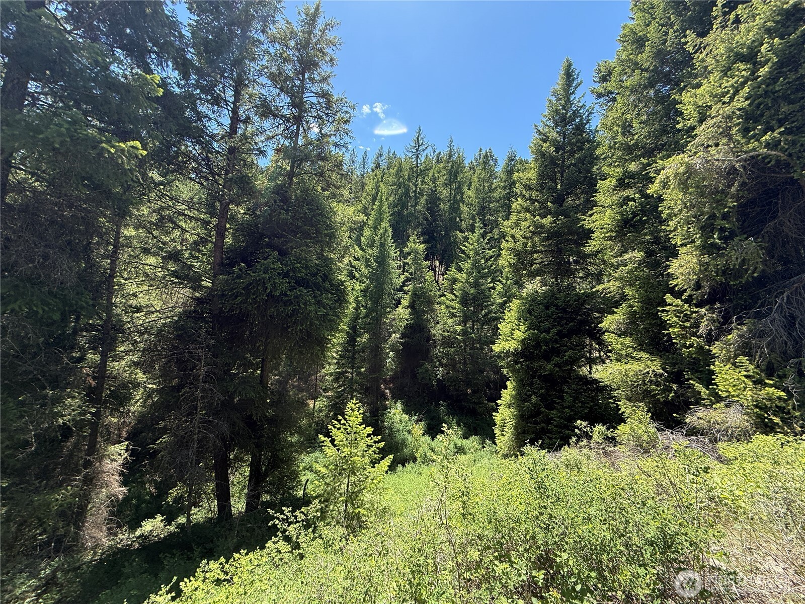0 Tbd Toroda Creek Road Property Photo 4