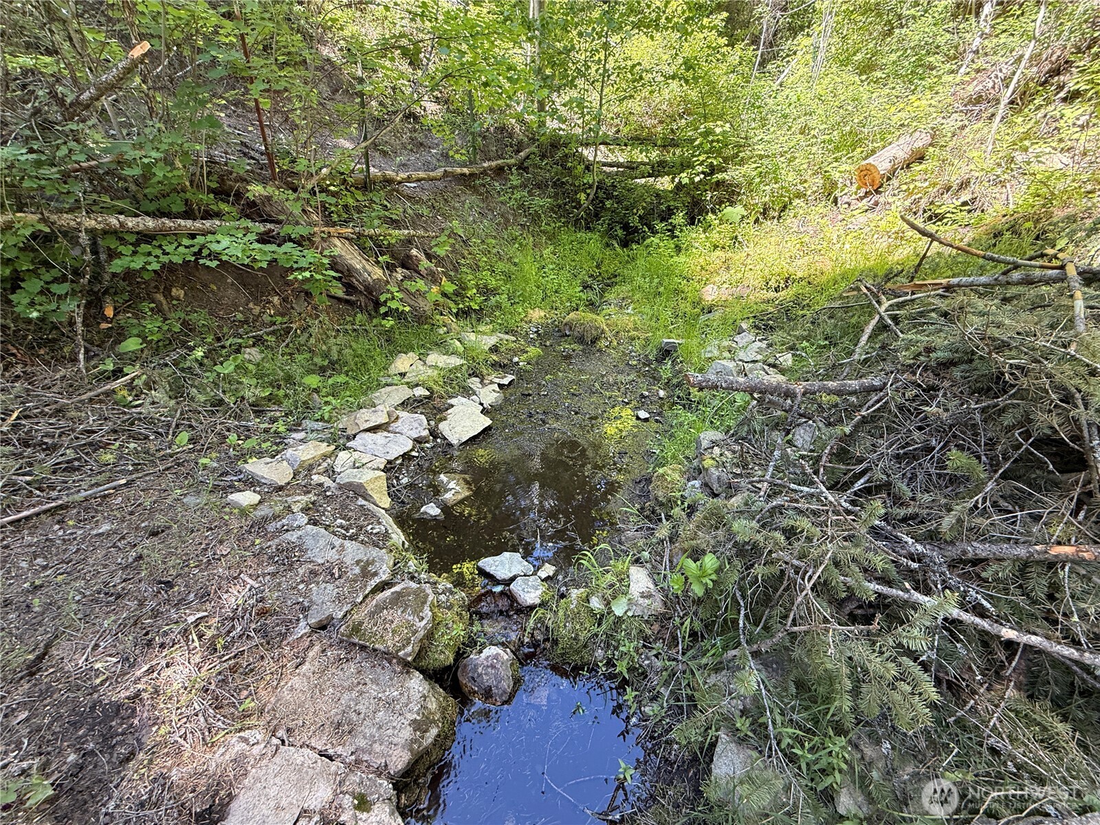 0 Tbd Toroda Creek Road Property Photo 5
