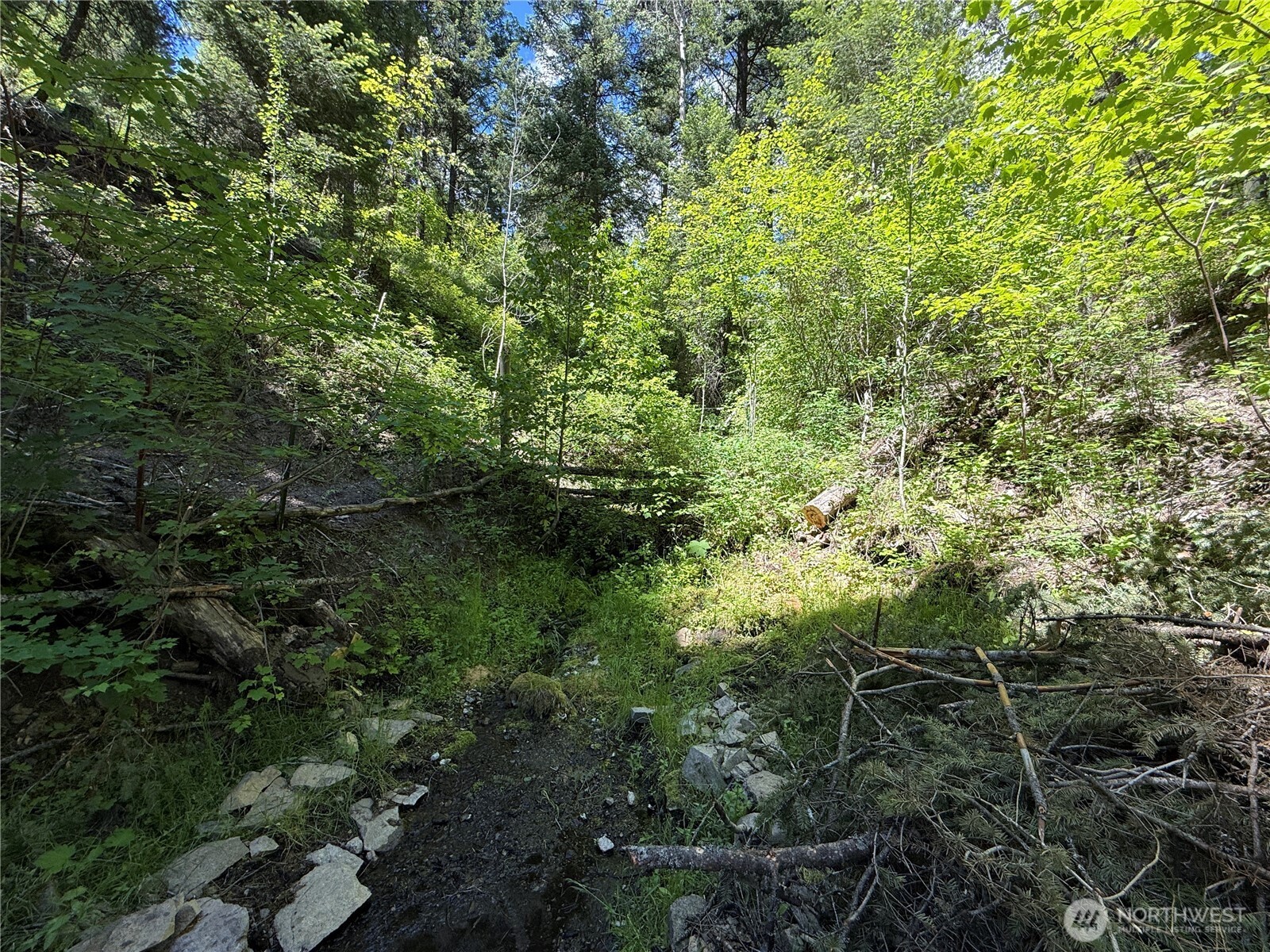 0 Tbd Toroda Creek Road Property Photo 6