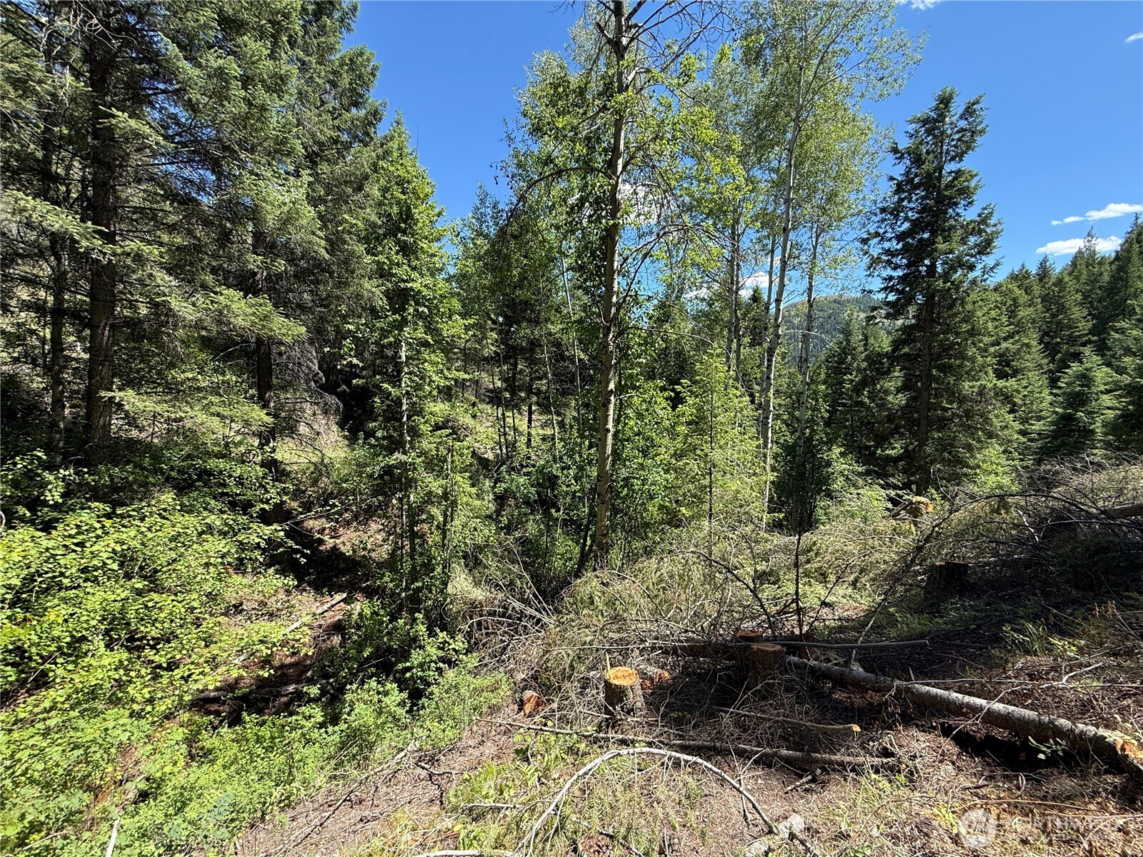 0 Tbd Toroda Creek Road Property Photo 8