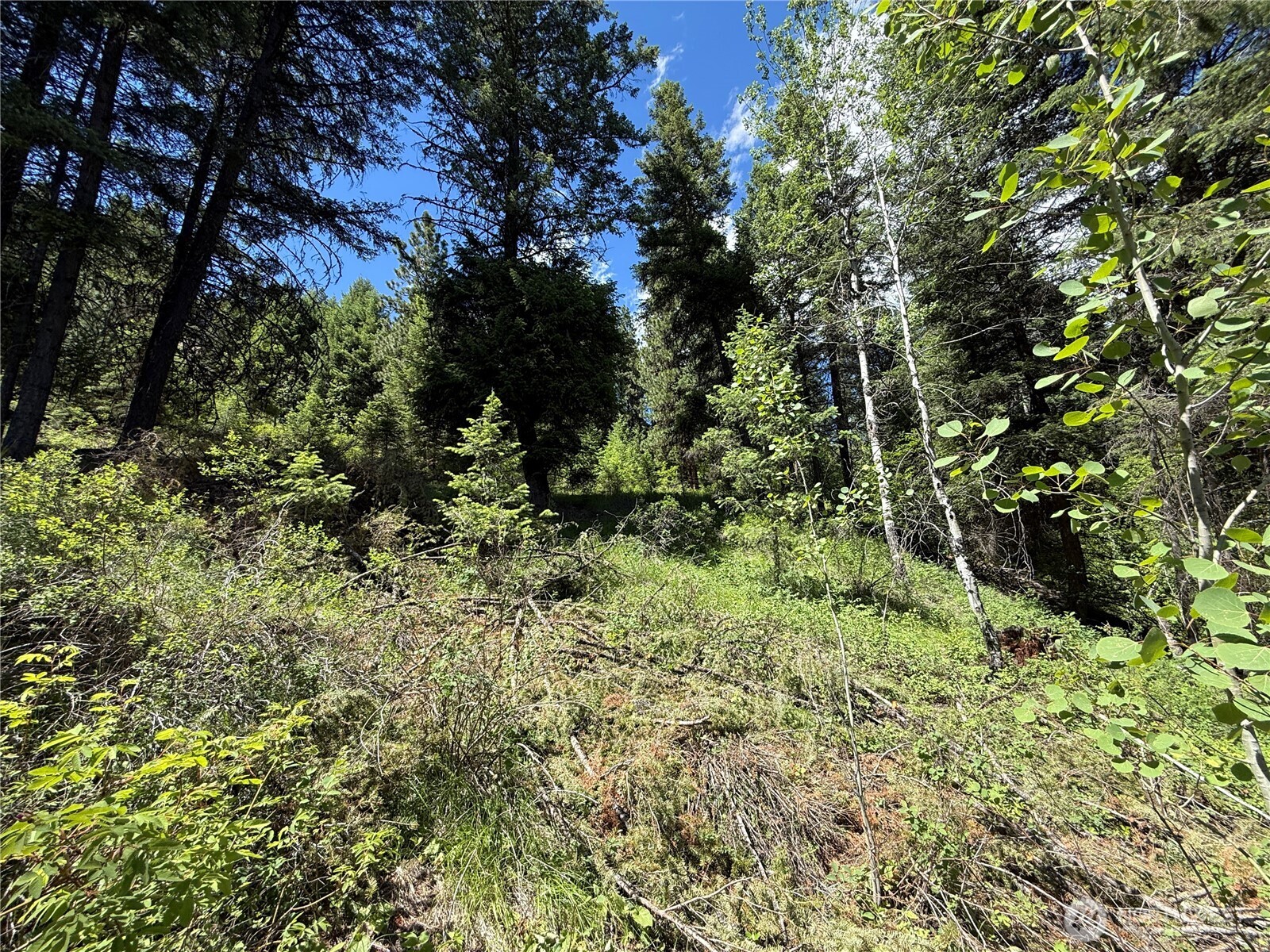 0 Tbd Toroda Creek Road Property Photo 9