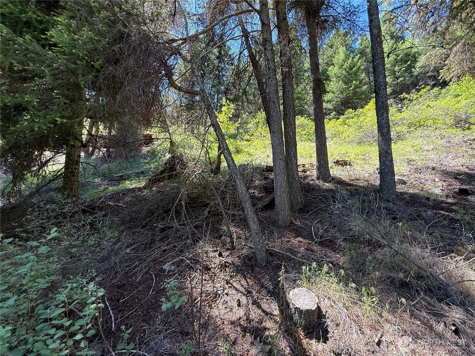 0 Tbd Toroda Creek Road Property Photo 16