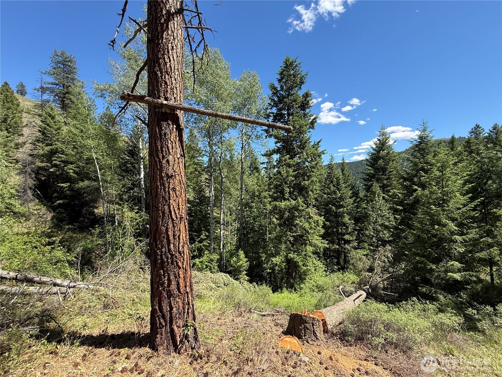 0 Tbd Toroda Creek Road Property Photo 17