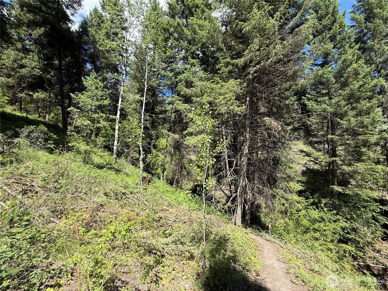 0 Tbd Toroda Creek Road Property Photo 19