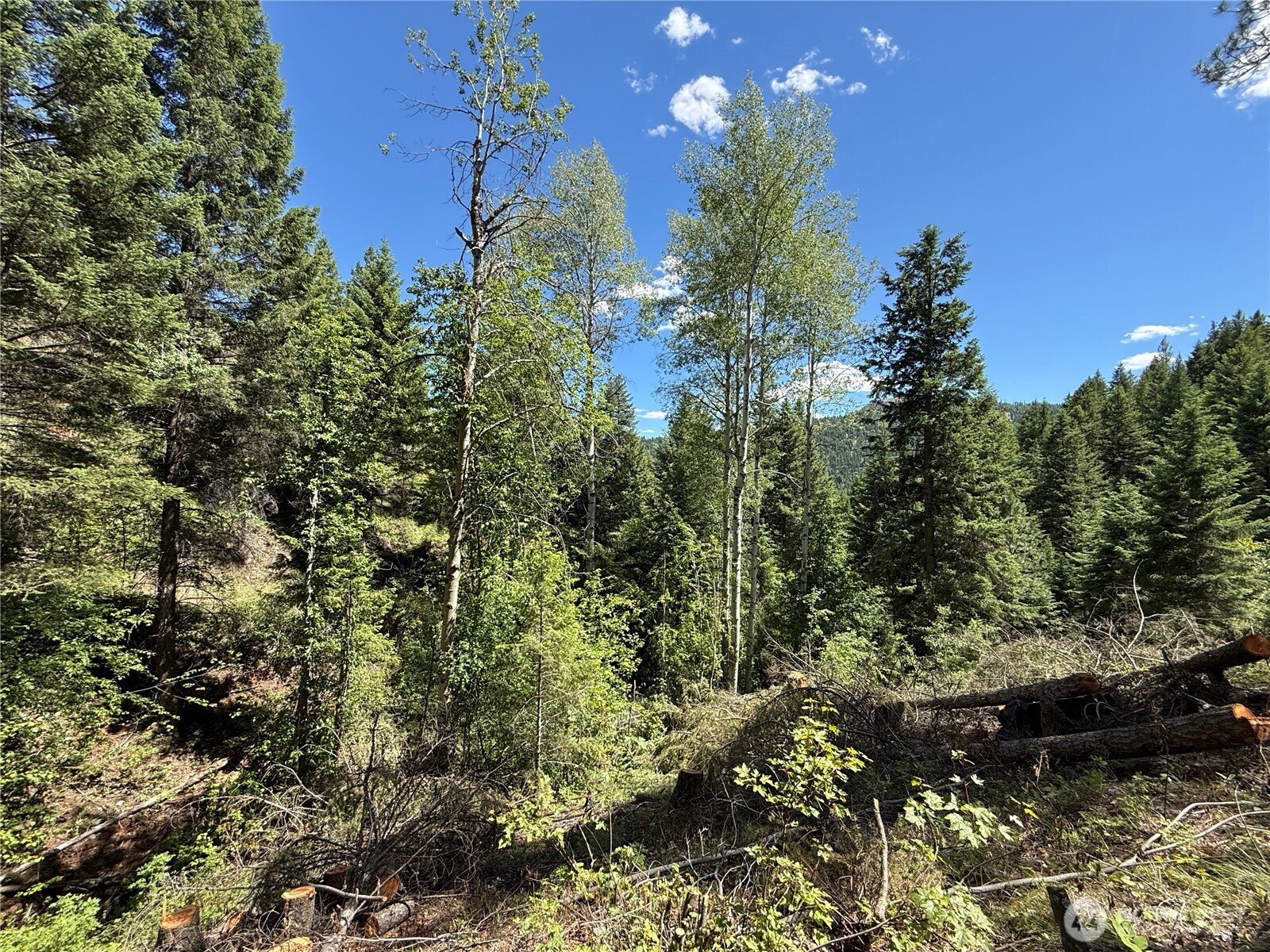 0 Tbd Toroda Creek Road Property Photo 20