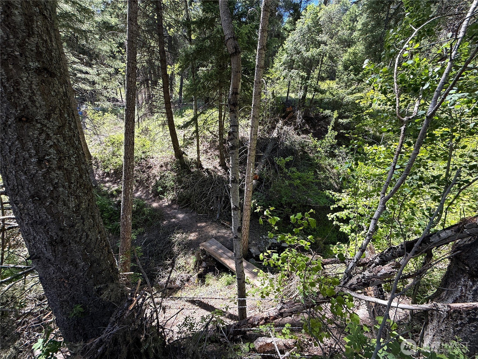 0 Tbd Toroda Creek Road Property Photo 21