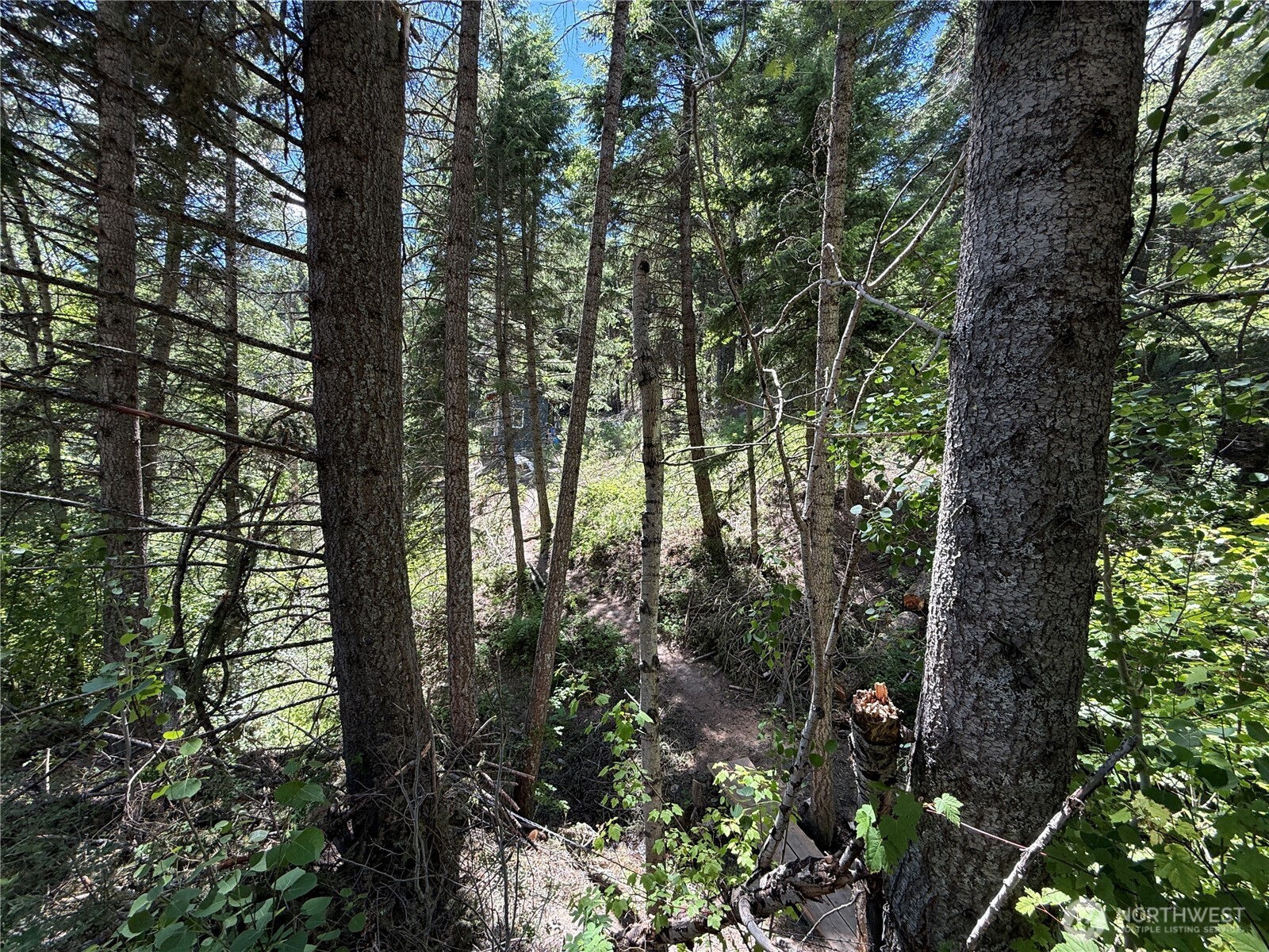 0 Tbd Toroda Creek Road Property Photo 23