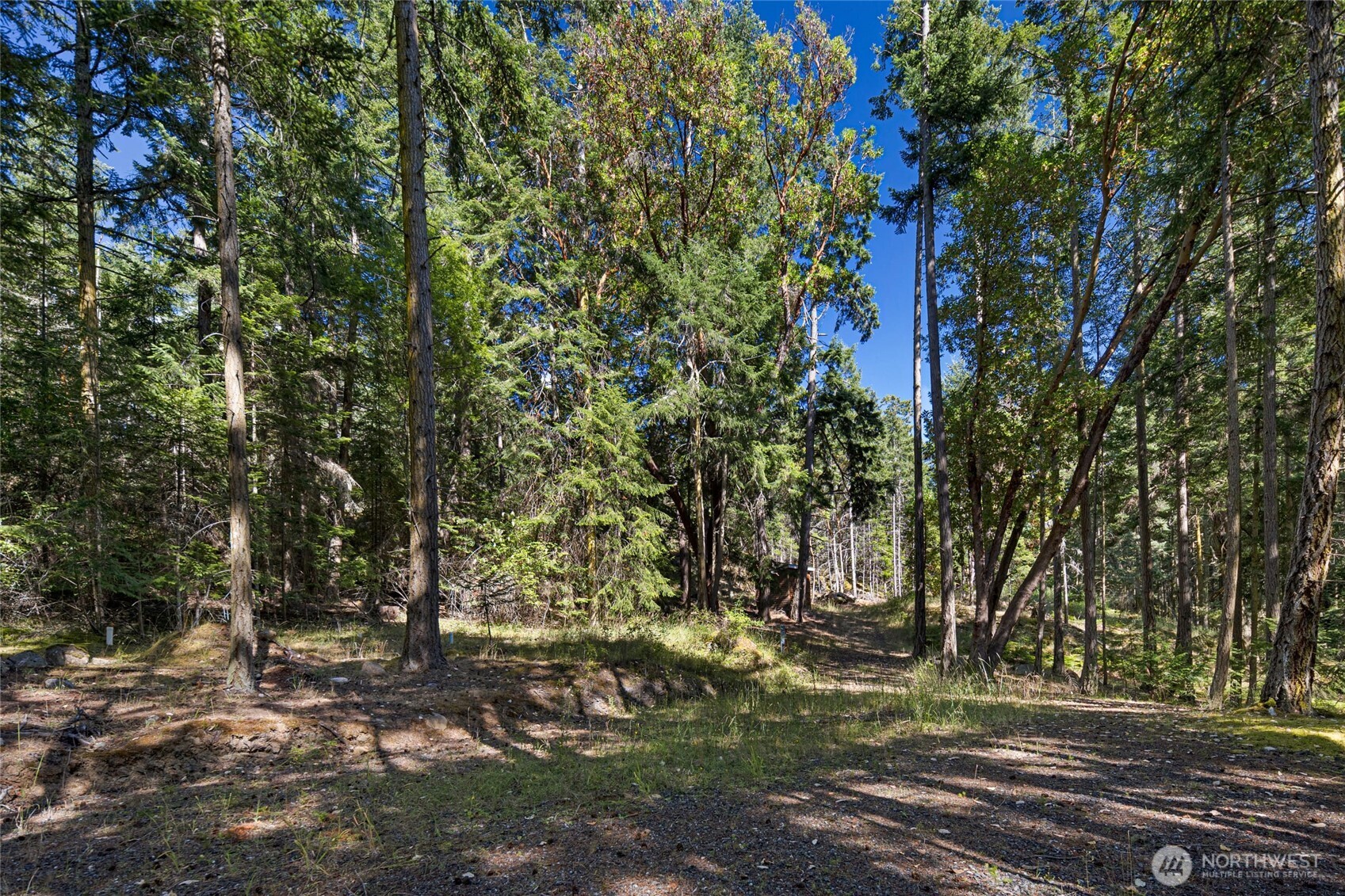 668 Carefree Lane Property Photo 12