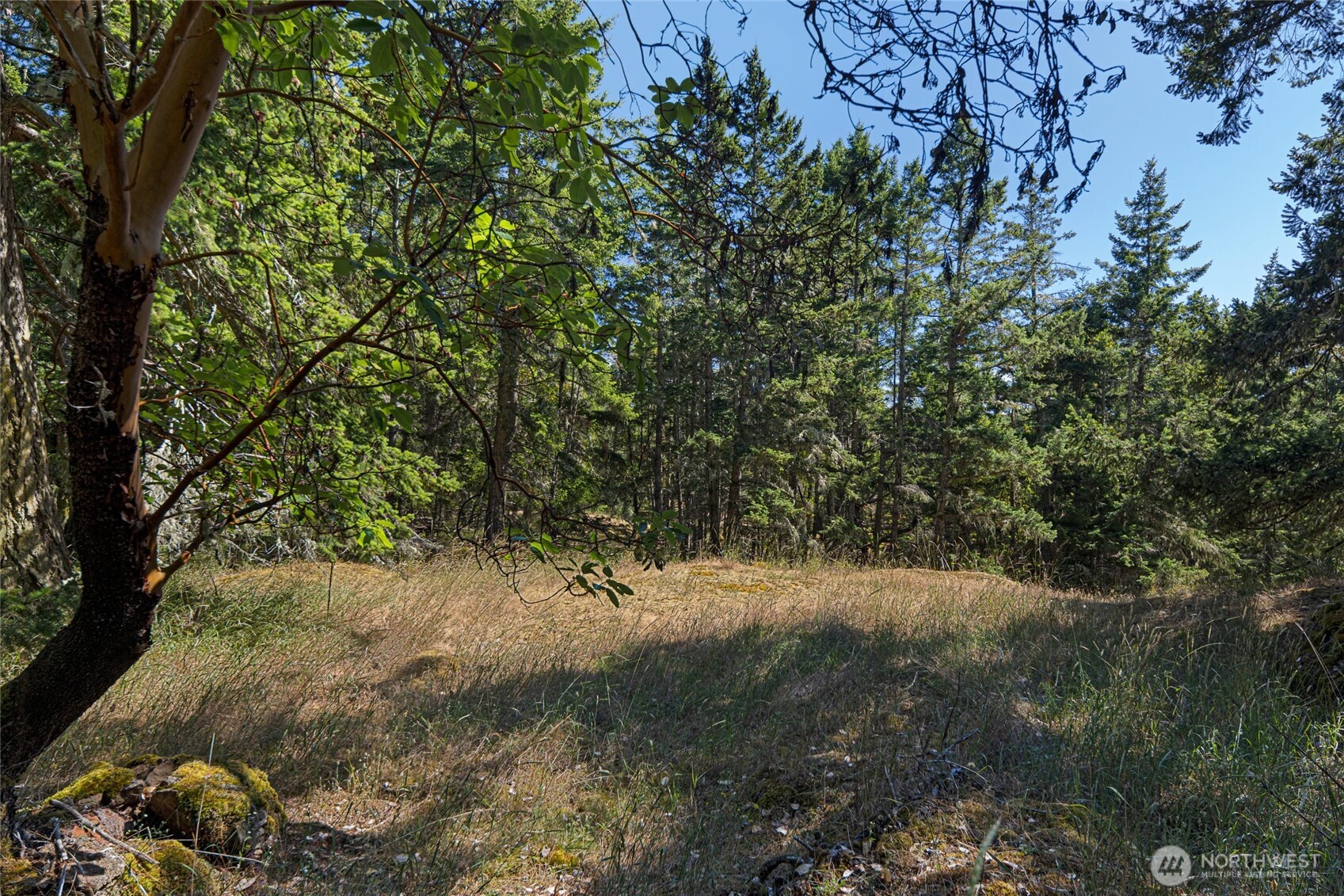 668 Carefree Lane Property Photo 31
