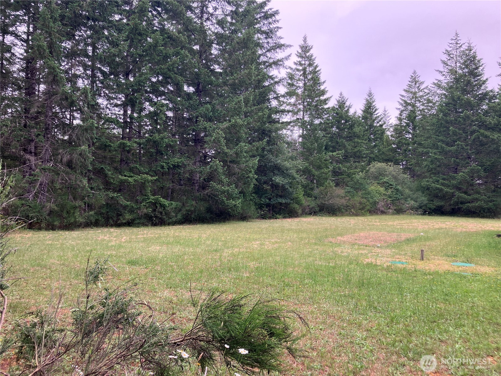 20 W Bridlewood Court Property Photo 29
