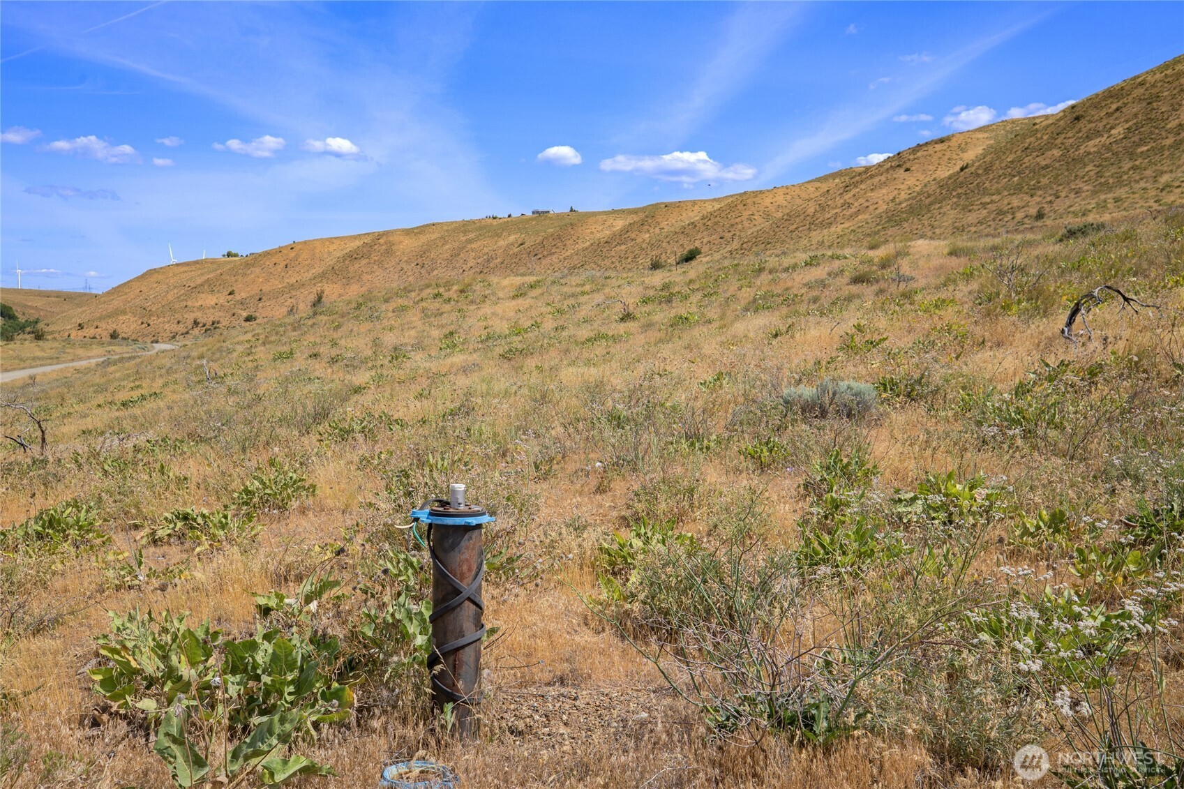 1110 Ellensburg Ranches Rd Property Photo 6