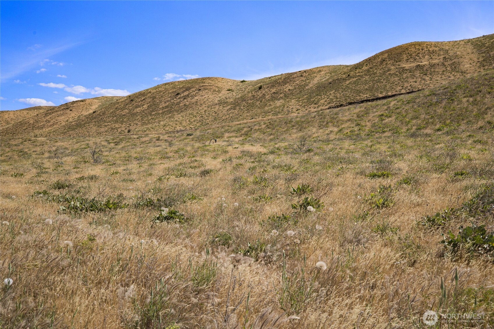 1110 Ellensburg Ranches Rd Property Photo 7