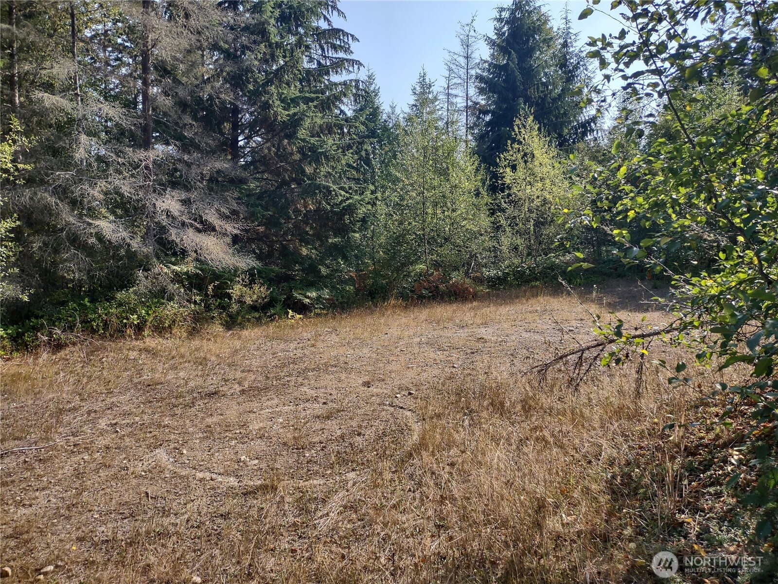 0 Blue Valley Road Property Photo 1
