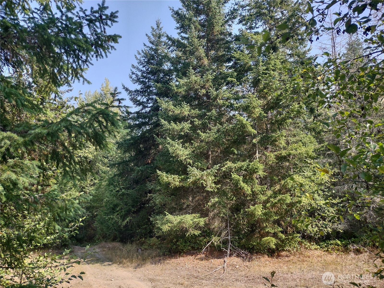 0 Blue Valley Road Property Photo 2
