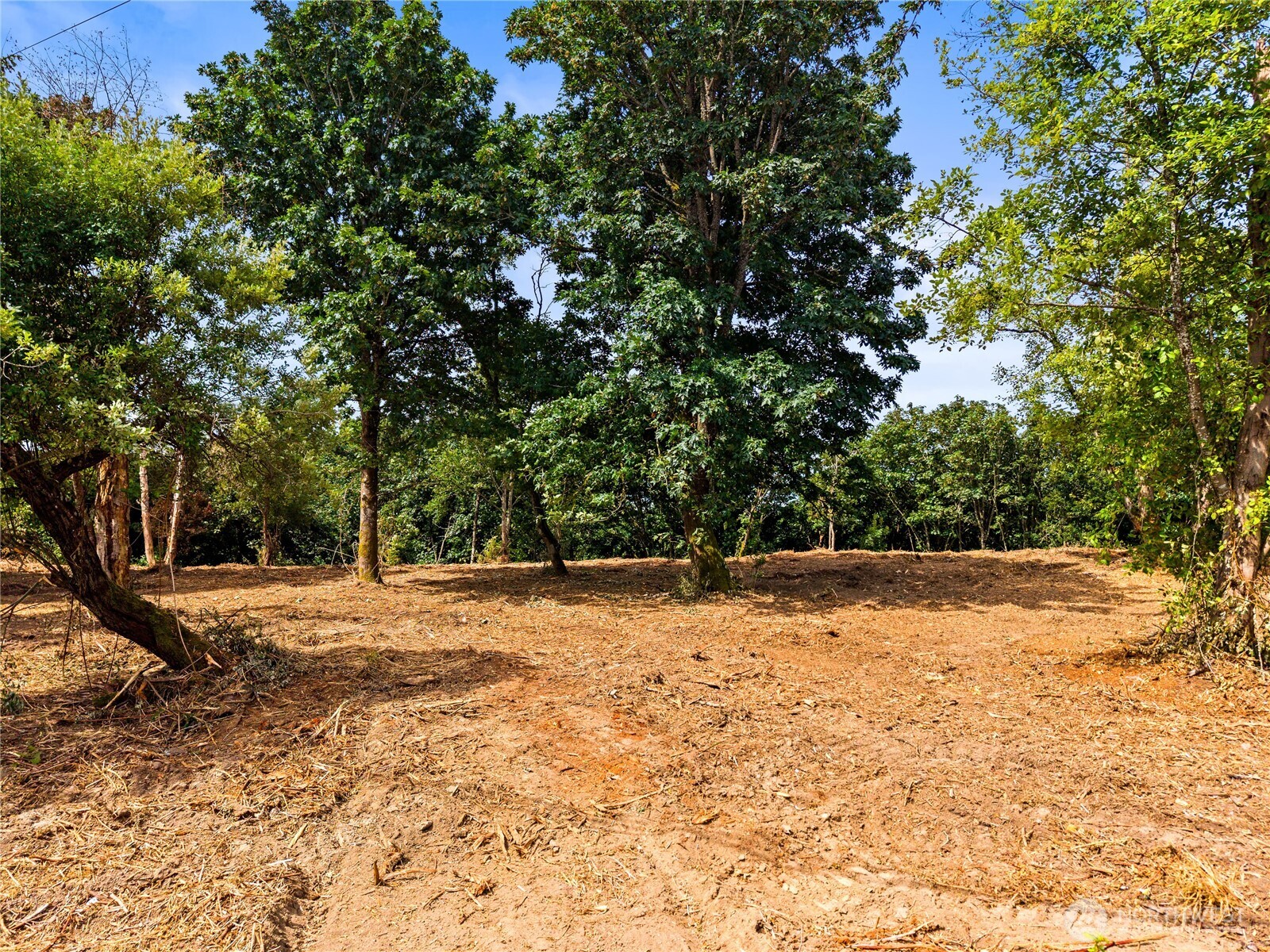 2348 Browns Point Boulevard Property Photo 24