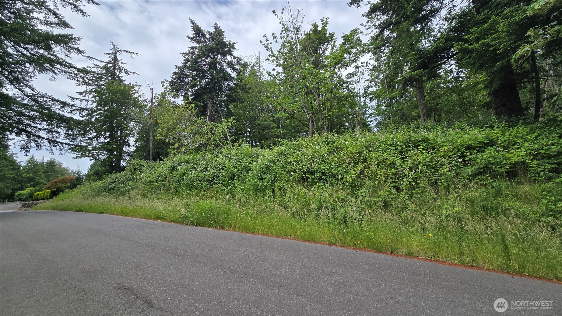 27339 Se 403rd (lots 39,47,48,49) Street Property Photo 1