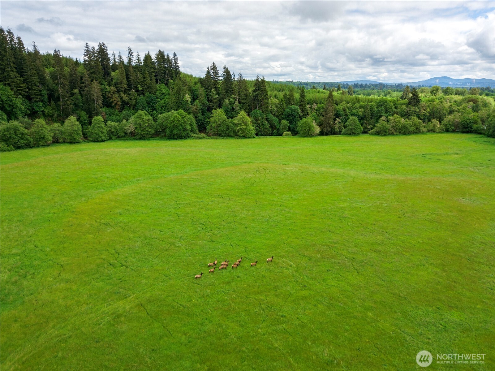 732 Satsop Road Property Photo 28