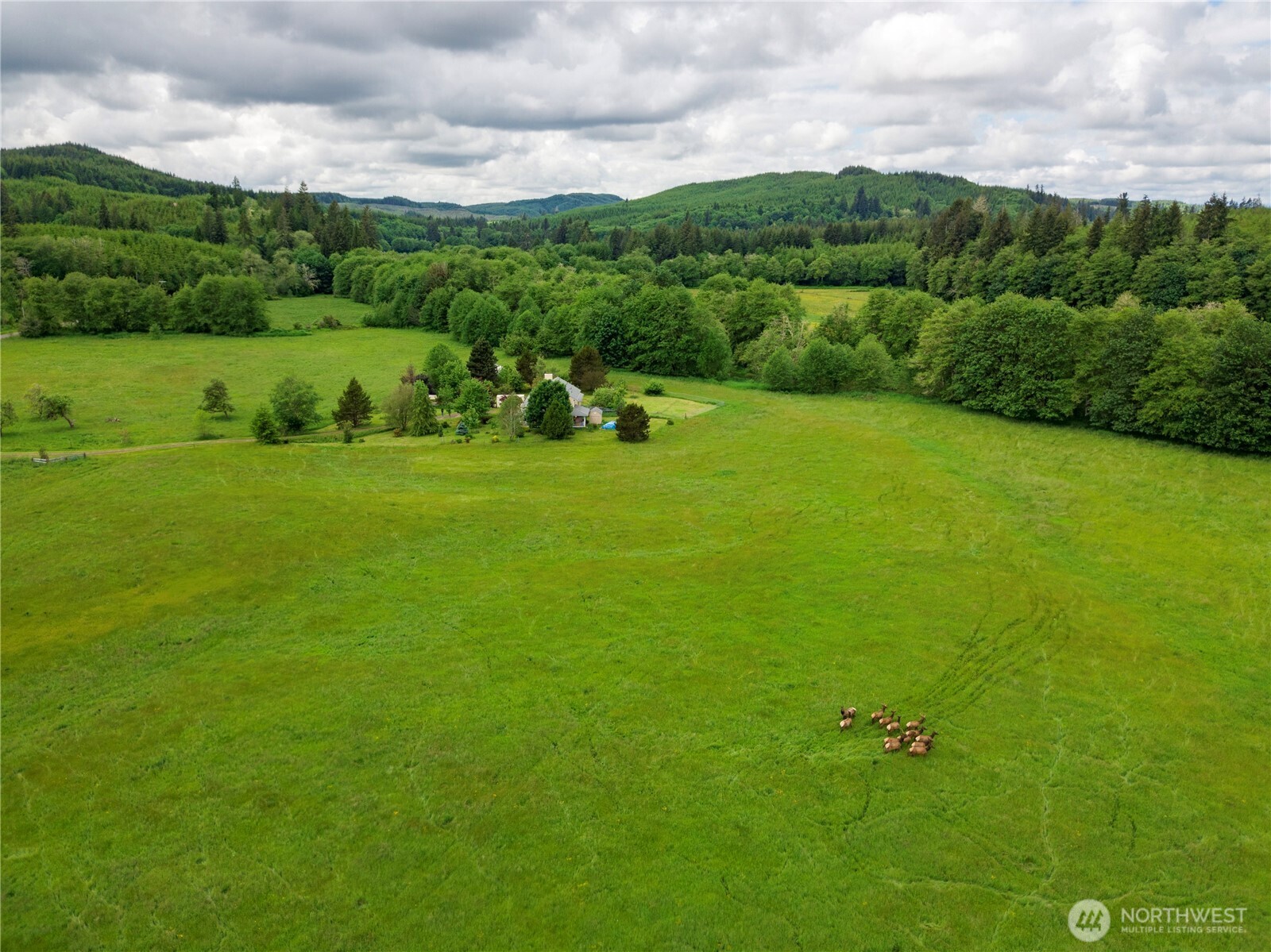 732 Satsop Road Property Photo 33
