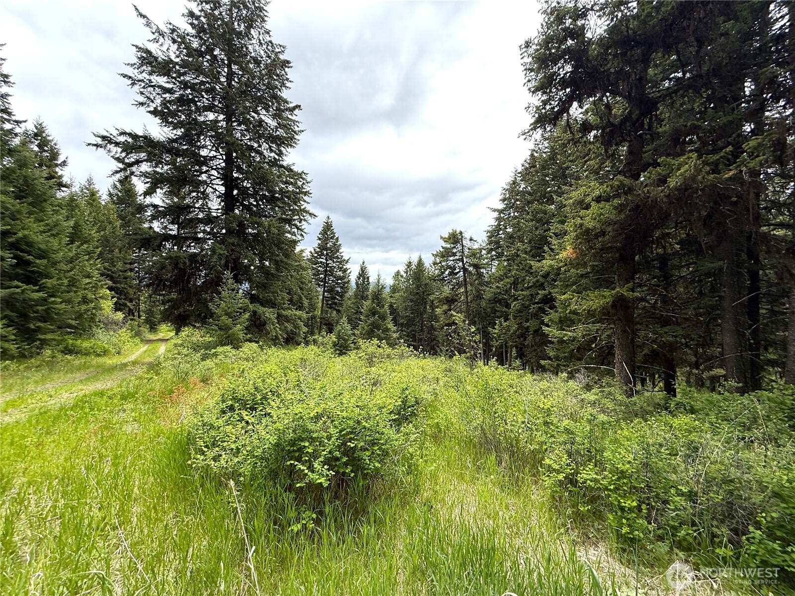 0 Pontiac Ridge Road Property Photo 1