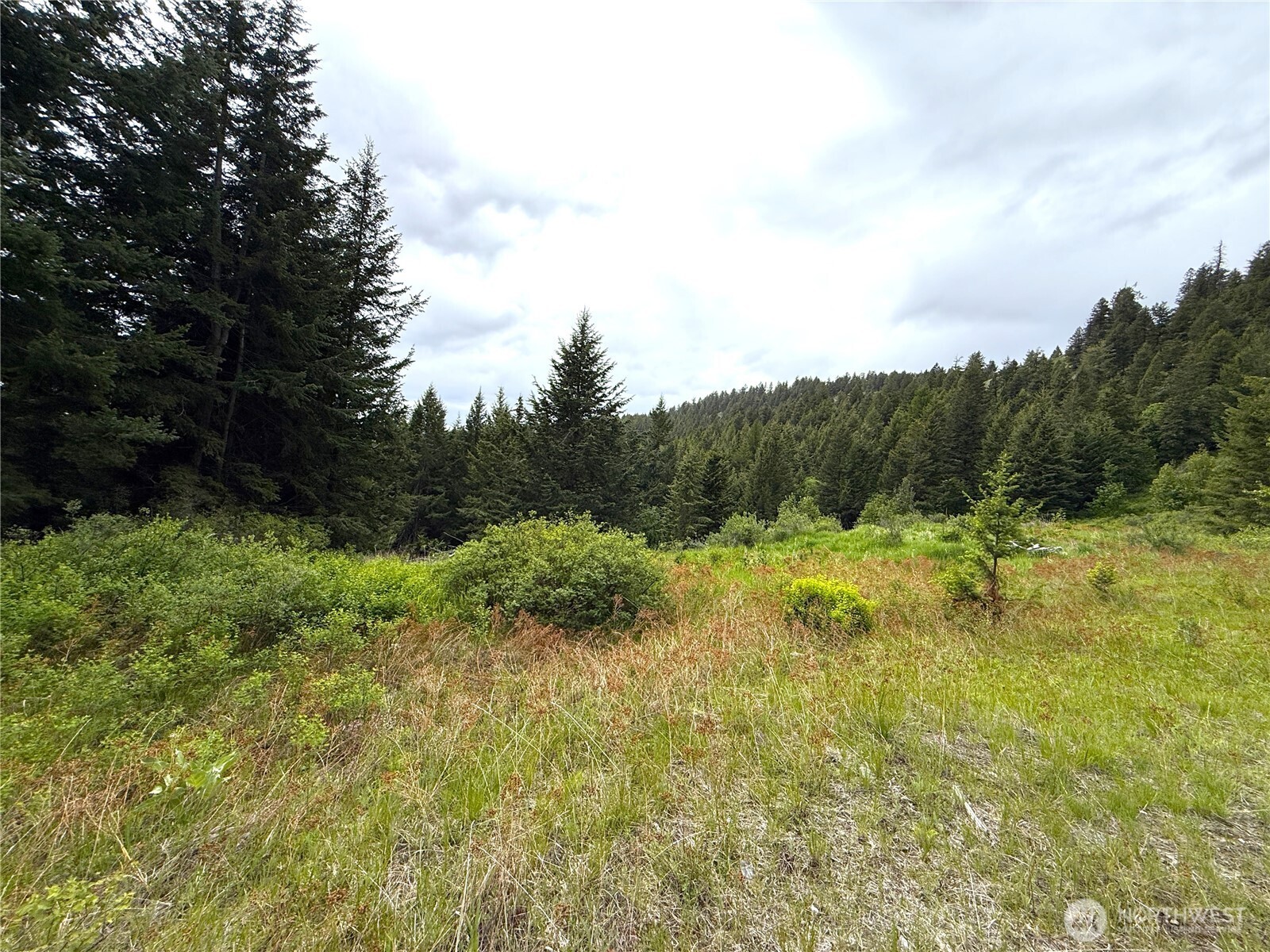 0 Pontiac Ridge Road Property Photo 2
