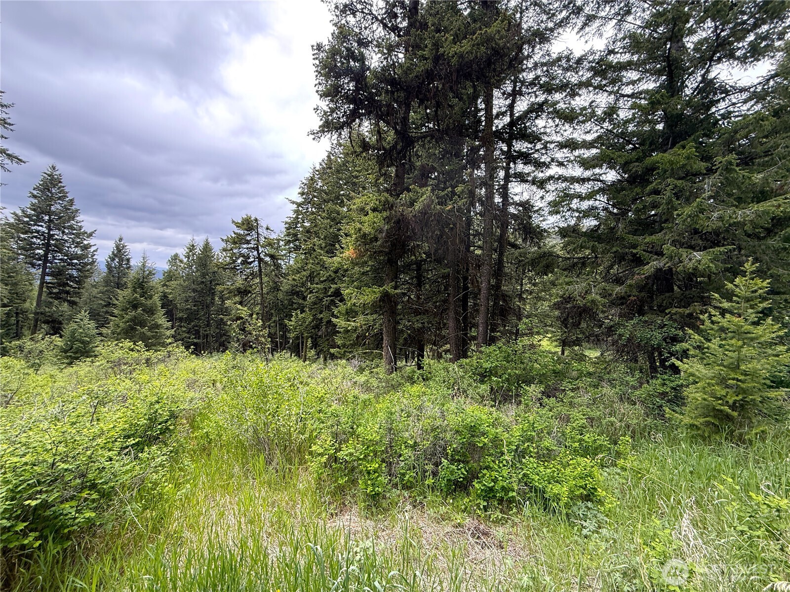 0 Pontiac Ridge Road Property Photo 3