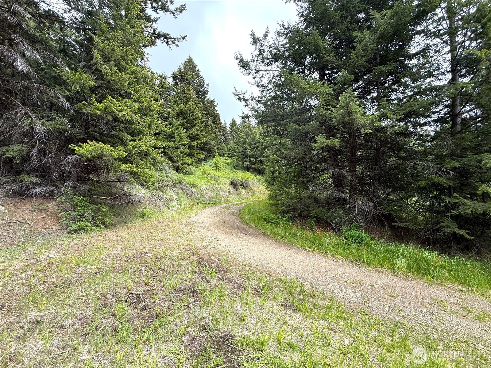 0 Pontiac Ridge Road Property Photo 4