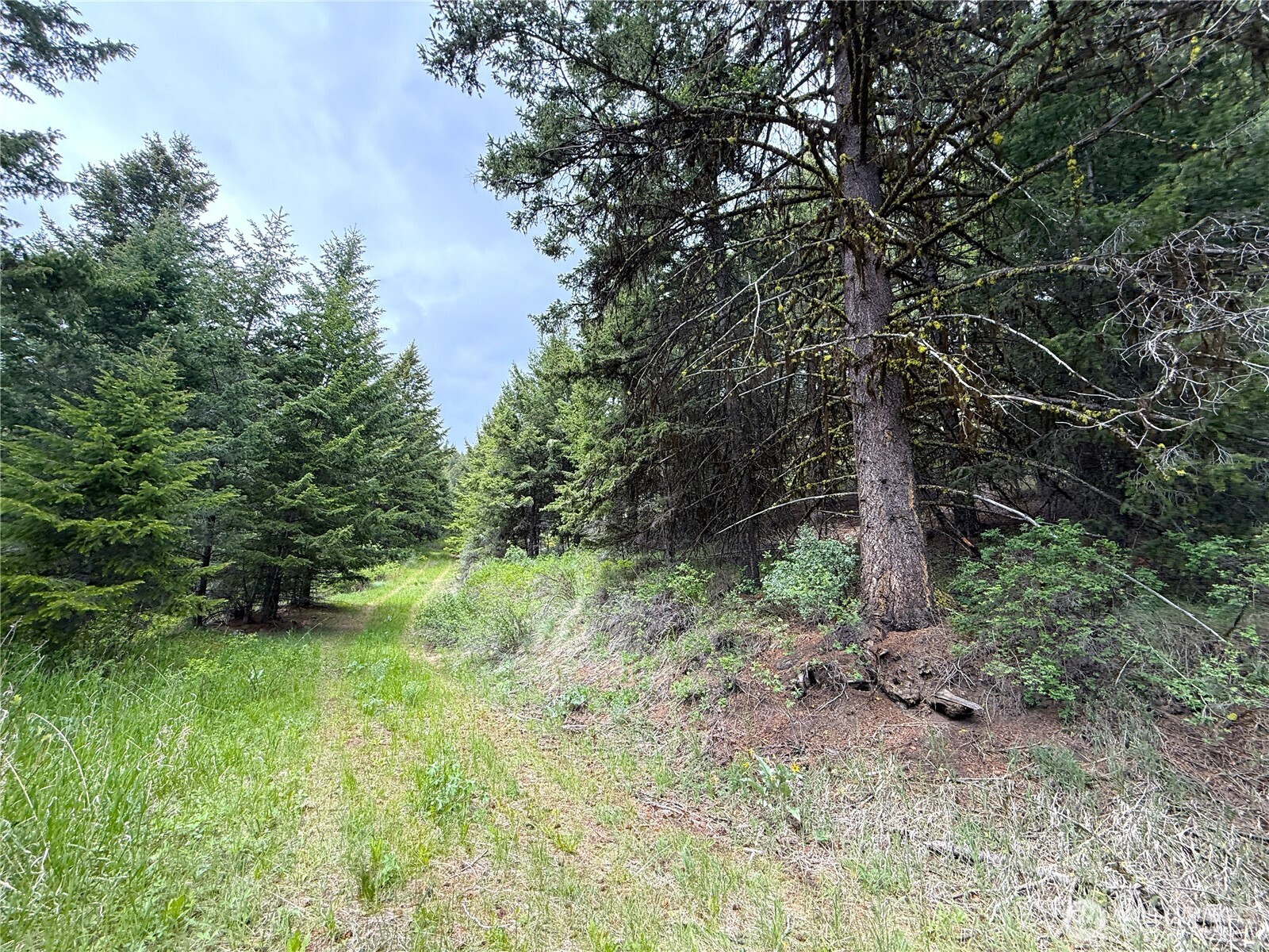 0 Pontiac Ridge Road Property Photo 6