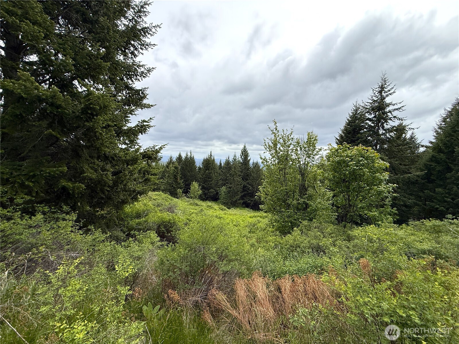 0 Pontiac Ridge Road Property Photo 10