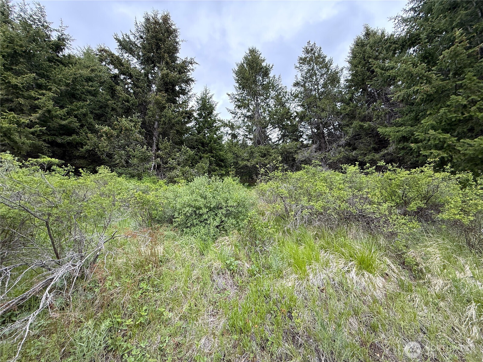 0 Pontiac Ridge Road Property Photo 11