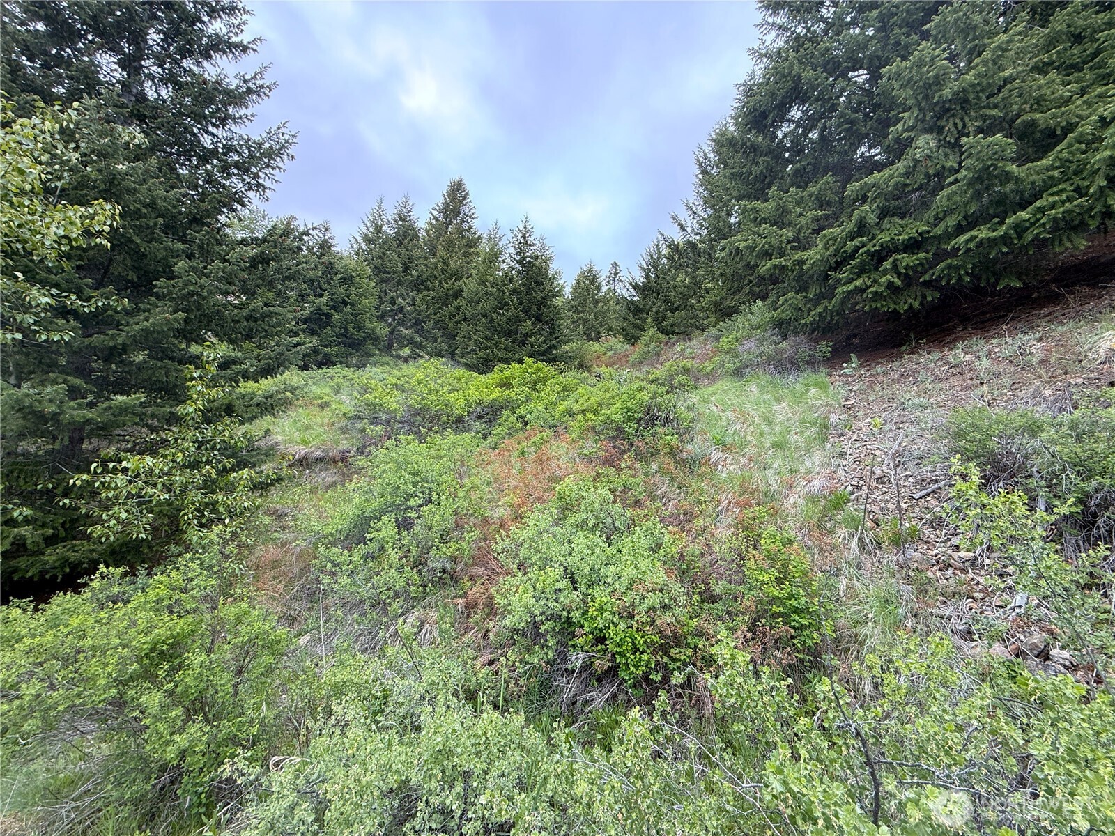 0 Pontiac Ridge Road Property Photo 12